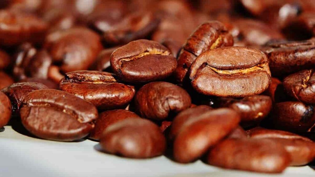 dicas para você preparar o melhor café em casa