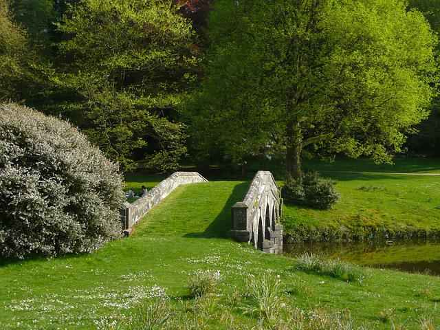 Como Começar um Jardim em Casa