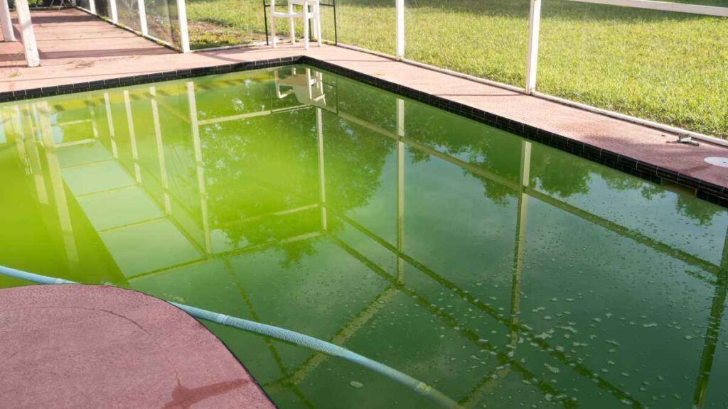 Como Limpar Piscina Verde em Minutos