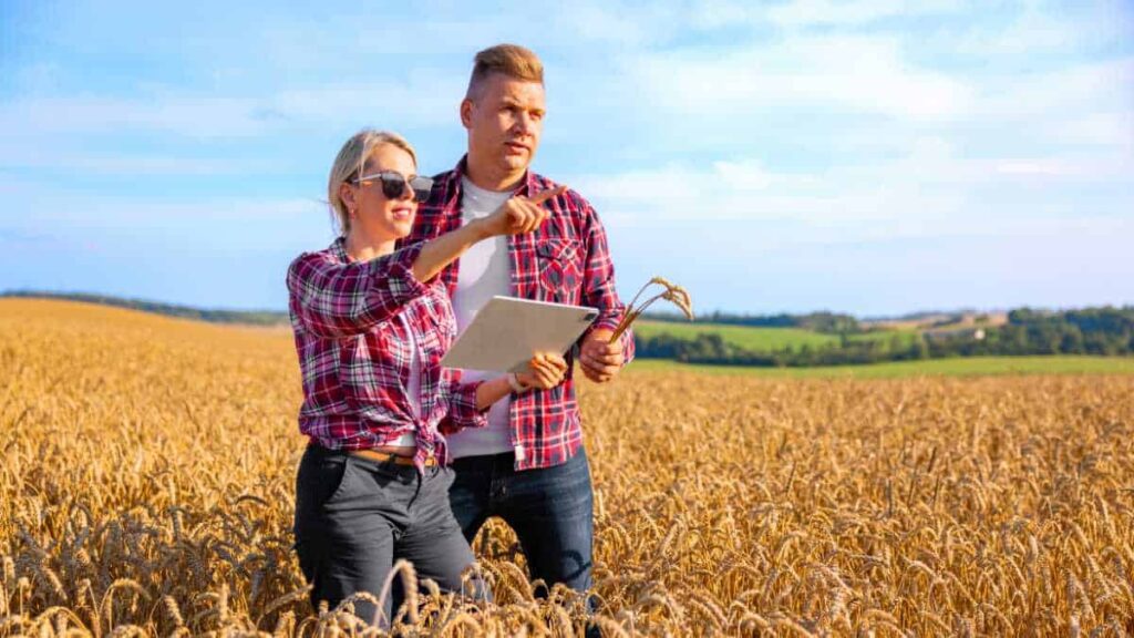 Gestão eficiente no agronegócio