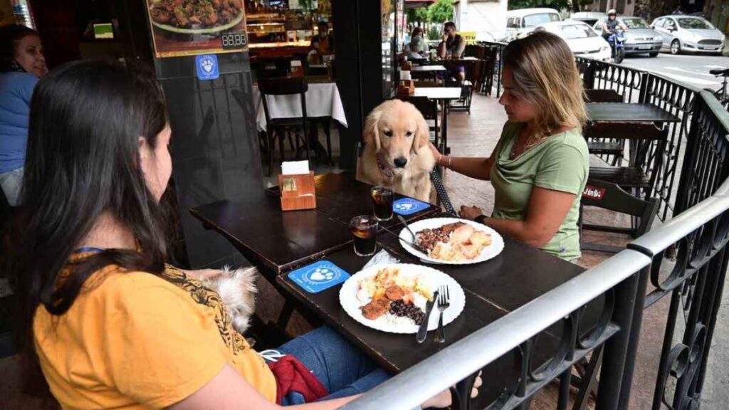 Como encontrar os melhores restaurantes pet friendly