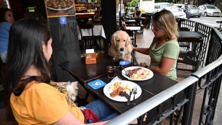 Como encontrar os melhores restaurantes pet friendly