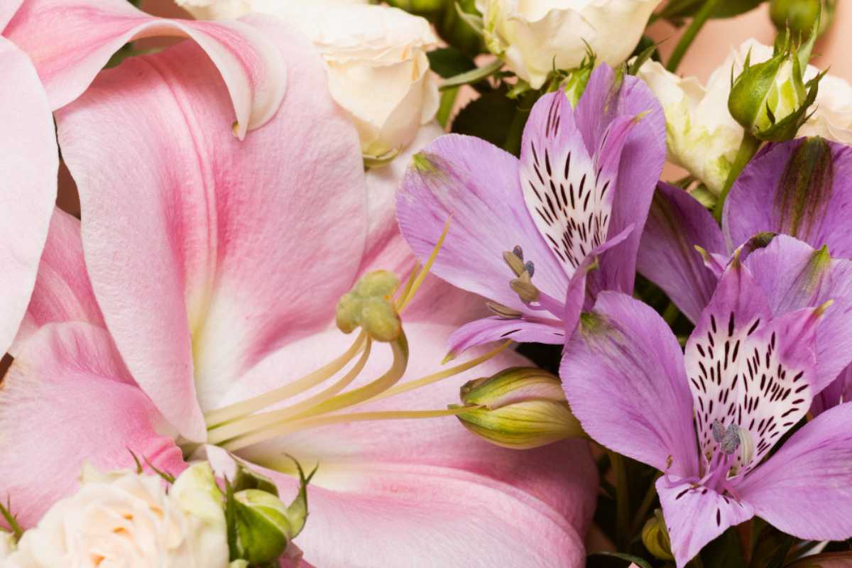 Mercado de coroa de flores tem crescido no Brasil Mercado de coroa de flores tem crescido no Brasil